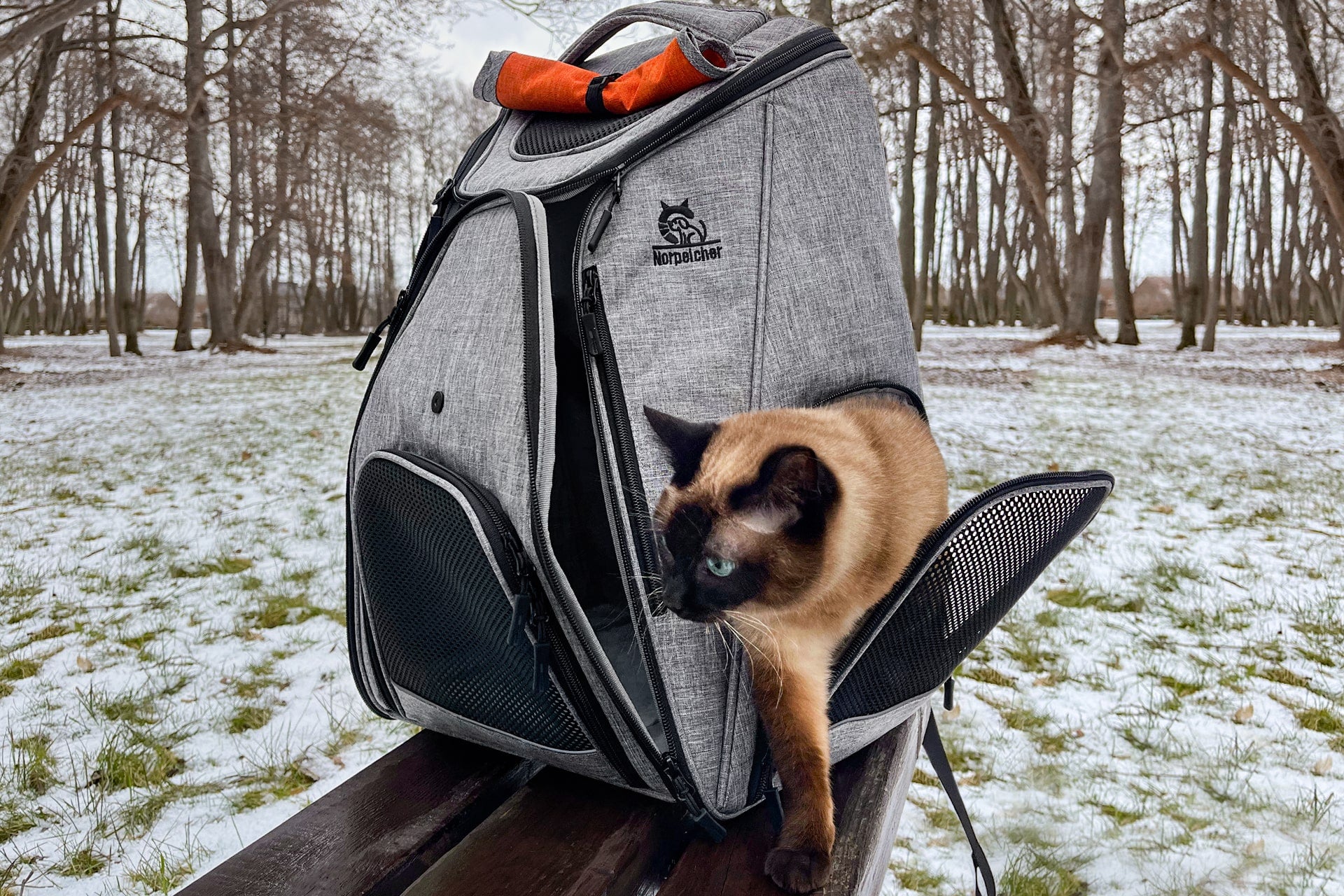 Floof Voyager Top Load Cat Carrier for Travel