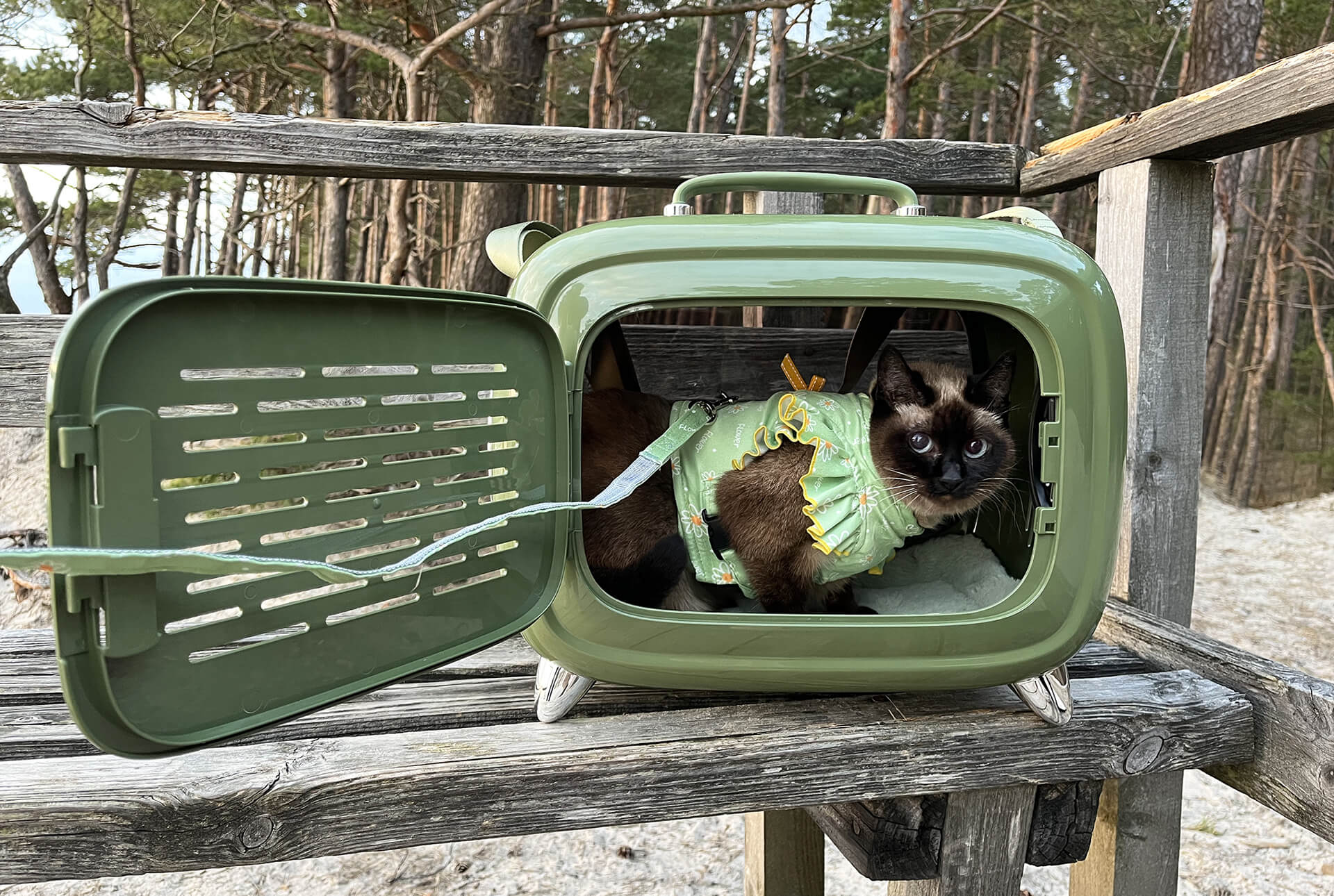 PETKIT Ventilation Pet Backpack Travel Cat Dog Back Carrier Mesh Bag  Outdoor