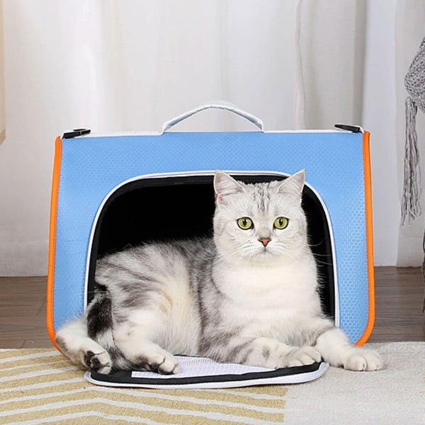 Cat in Blue Lightweight Airline-Approved Travel Cat Carrier | MissyMoMo