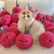 Load image into Gallery viewer, Cat with Cute Apple Silvervine Cat Chew Toys | MissyMoMo