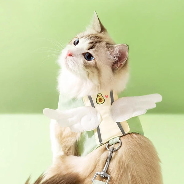 Cat Wearing Avocado Angel Wings Harness | MissyMoMo