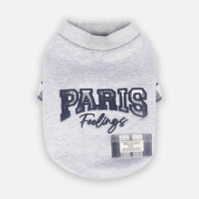 Load image into Gallery viewer, Cute Gray Cat Sweatshirt | Letter Print Cat Clothing | MissyMoMo