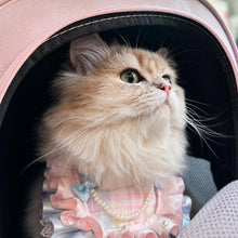 Load image into Gallery viewer, Bonbon Cat Bib on Fluffy Cat | Handmade Pink and Blue Ruffle Cat Bib | MissyMoMo