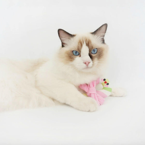 Cat with Candy Cane Catnip Toy | Cute Toy for Cats & Kittens | MissyMoMo
