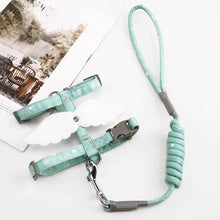 Load image into Gallery viewer, Celeste Green H-Style Cat Harness & Leash for Walking | MissyMoMo