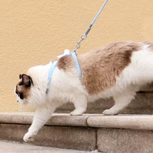 Load image into Gallery viewer, Cat on Blue H-Style Cat Walking Harness | MissyMoMo