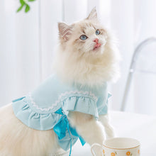 Load image into Gallery viewer, Cat in Blue Cat Vest | MissyMoMo