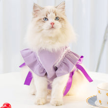 Load image into Gallery viewer, Cat in Purple Cat Vest | MissyMoMo