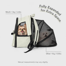 Load image into Gallery viewer, Cove Expandable Cat Backpack with Two Small Dogs | Fully Expanded Pet Carrier | MissyMoMo