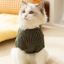 Load image into Gallery viewer, Cat in Green Dinosaur Sweater | MissyMoMo