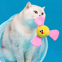 Load image into Gallery viewer, Cat Playing with Fan-tastic Cat Tunnel | Cat Toy | MissyMoMo