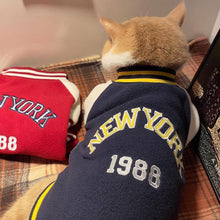 Load image into Gallery viewer, Cat in Bomber Jacket | MissyMoMo