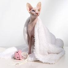 Load image into Gallery viewer, Sphynx Cat with Jellyfish Cat Teaser Wand | Cute Cat Toys | MissyMoMo
