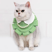 Load image into Gallery viewer, Cat in Green Cat Bib | MissyMoMo