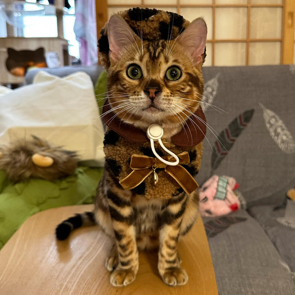 Cat in Leopard Print Cat Hat & Bib | MissyMoMo
