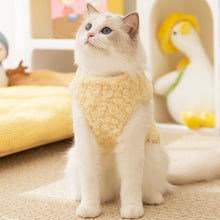 Load image into Gallery viewer, Cat in Yellow Fleece Jacket | MissyMoMo