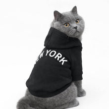 Load image into Gallery viewer, Grey British Shorthair Cat Wearing Black New York Cat Hoodie | Cat Hoodie Outfit | MissyMoMo