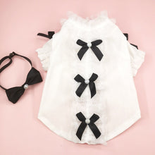 Load image into Gallery viewer, Missy Cat Shirt | Stylish Shirt for Cats & Kittens | MissyMoMo