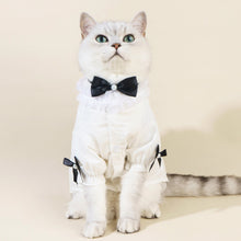 Load image into Gallery viewer, Missy Cat Shirt | Cat in White Shirt with Bow Tie | MissyMoMo