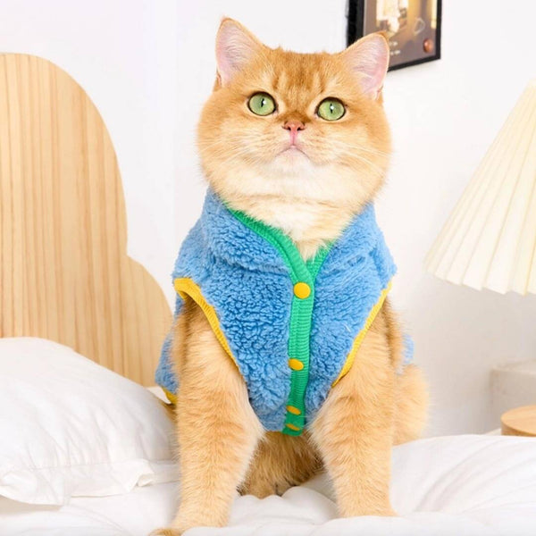 Cat in Blue Fleece Jacket | MissyMoMo