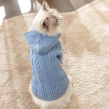 Load image into Gallery viewer, Cat in Blue Cable Knit Sweater | MissyMoMo