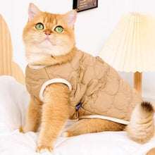 Load image into Gallery viewer, Cat in Brown Quilted Jacket | Cozy Bear Patch Cat Outfit | MissyMoMo