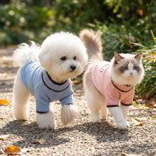Load image into Gallery viewer, Cat in Pink Mochi Cat Sweater with Dog in Blue Sweater | MissyMoMo