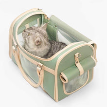 Load image into Gallery viewer, Cat Looking Up Inside Roomy Green Mesh Carrier | MissyMoMo