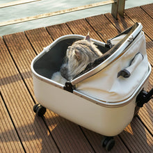 Load image into Gallery viewer, Cat Sitting Inside Stylish White Cat Stroller | MissyMoMo