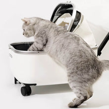 Load image into Gallery viewer, Cat Getting in White Rolling Cat Carrier with Wheels | Stylish Cat Stroller | MissyMoMo
