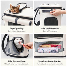 Load image into Gallery viewer, Noma Cat Backpack with Top Opening and Front Pocket | MissyMoMo