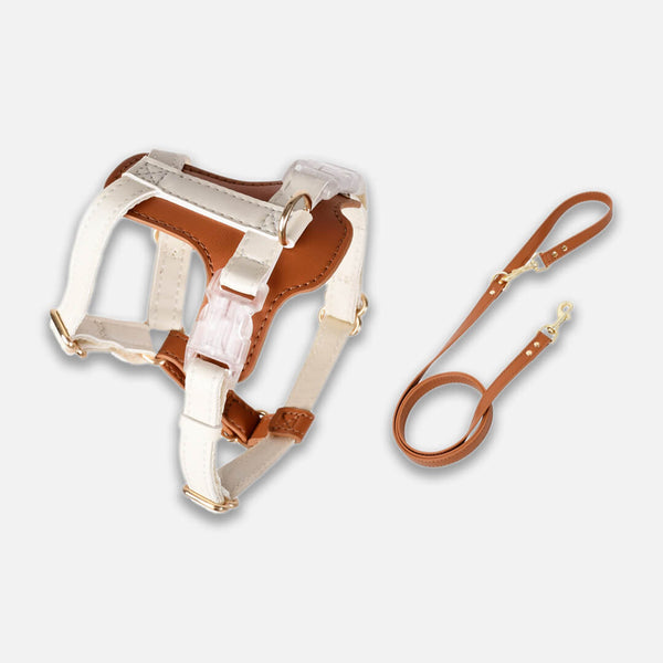 Phoenix Leather Cat Harness & Leash Set In Brown | MissyMoMo