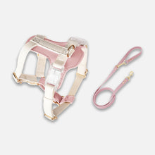 Load image into Gallery viewer, Phoenix Leather Cat Harness & Leash Set In Pink | MissyMoMo