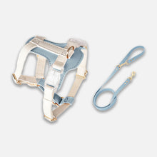 Load image into Gallery viewer, Phoenix Leather Cat Harness & Leash Set In Blue | MissyMoMo