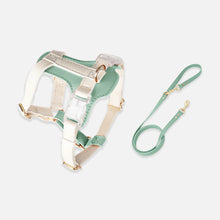 Load image into Gallery viewer, Phoenix Leather Cat Harness & Leash Set In Green | MissyMoMo