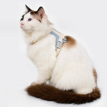Load image into Gallery viewer, Cat Wearing Phoenix Leather Cat Harness In Blue | MissyMoMo