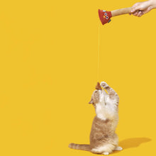 Load image into Gallery viewer, Cat Playing with Plunging Poo Cat Teaser | Funny Kitten & Cat Toys | MissyMoMo