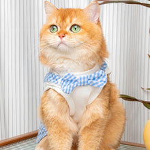 Load image into Gallery viewer, Cat in Blue Check Vest | MissyMoMo