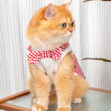 Load image into Gallery viewer, Cat in Red Check Vest | MissyMoMo