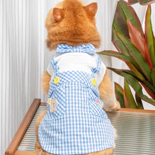 Load image into Gallery viewer, Cat in Blue Check Vest | MissyMoMo