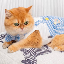 Load image into Gallery viewer, Cat in Blue Check Vest | MissyMoMo