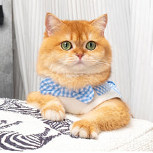 Load image into Gallery viewer, Cat in Blue Check Vest | MissyMoMo