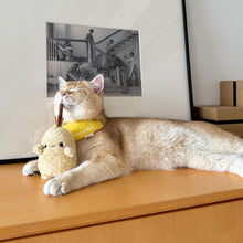 Load image into Gallery viewer, Cat with Cute Potato Silvervine Cat Chew Toys | MissyMoMo