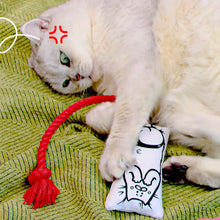 Load image into Gallery viewer, Cat Playing with Power Paws Chew & Tug Pillow Toy | MissyMoMo