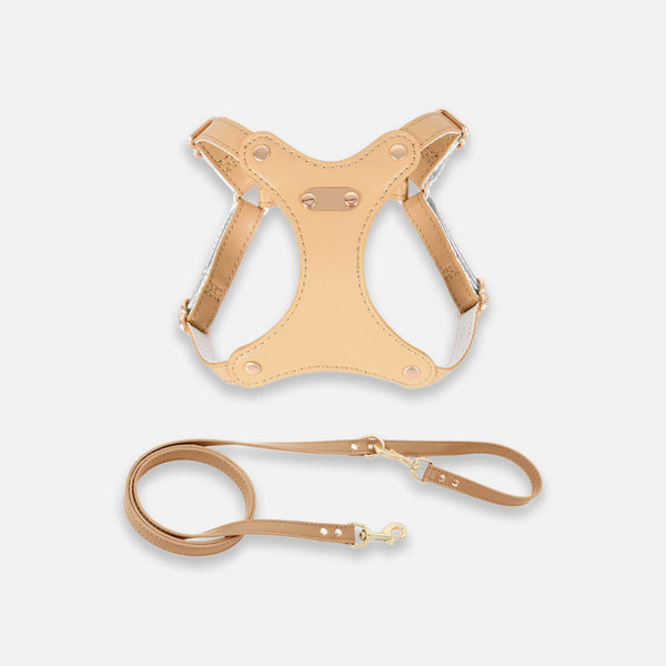 Rio Cat Harness & Leash Set in Tan Leather | MissyMoMo