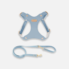 Load image into Gallery viewer, Rio Cat Harness & Leash Set in Blue Leather | MissyMoMo