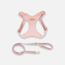 Load image into Gallery viewer, Rio Cat Harness & Leash Set in Pink Leather | MissyMoMo