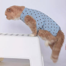 Load image into Gallery viewer, Cat in Stylish Blue Dungarees | MissyMoMo
