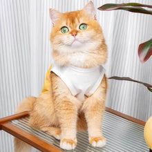 Load image into Gallery viewer, Cat in Yellow Chicken Cat Vest | Cute Cat Apparel | MissyMoMo