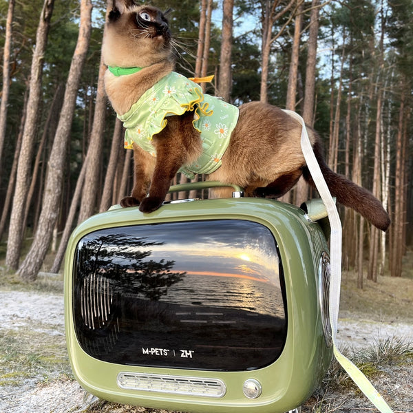 TellyMoMo Cat Carrier | Vintage-Inspired Pet Carrier | MissyMoMo
